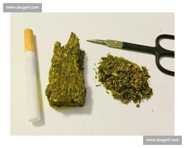 康迪特视角下的大麻争议与社会影响深度解析